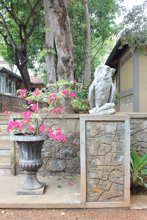 Lake Lodge Boutique Hotel Dambulla Kültér fotó
